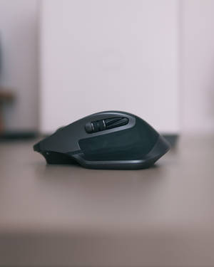 Mouse With Matte Black Body Wallpaper
