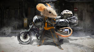 Mouse With Motorcycle Wallpaper