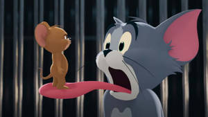 Movie Fuss Of Tom Jerry Mouse Wallpaper