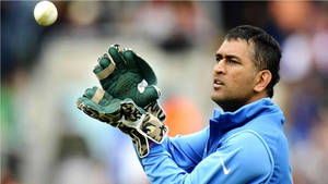 Ms Dhoni Catching Cricket Ball Wallpaper