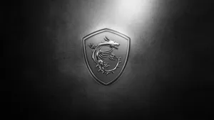 Msi Silver Dragon Logo Wallpaper
