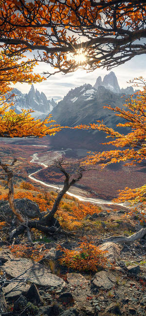 Mt. Fitz Roy Patagonia Autumn Iphone Wallpaper