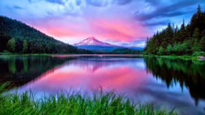Mt. Hood Nature Scenery Wallpaper