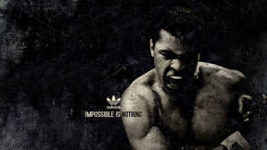 Muhammad Ali Adidas Poster Wallpaper