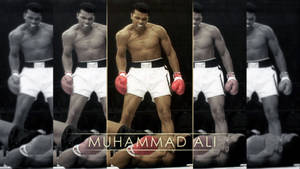 Muhammad Ali First Minute Knockout Wallpaper