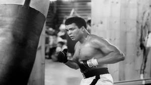 Muhammad Ali In Training Wallpaper