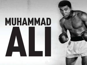 Muhammad Ali The Boxing Legend Wallpaper