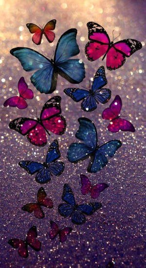 Multicolor Butterflies Wallpaper