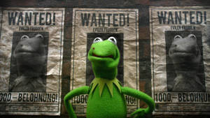 Muppets Most Wanted Constantine Posters Wallpaper