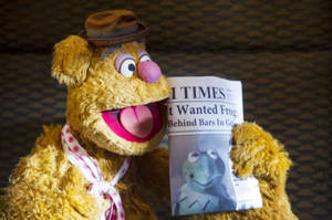 Muppets Most Wanted Fozzie Newspaper Wallpaper
