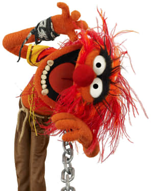 Muppets Muppets Muppets Muppets Muppets Muppets Muppets Muppets Wallpaper