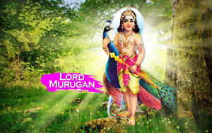 Murugan With Peacock In Forest Wallpaper