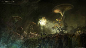 Mushrooms Morrowind Elder Scrolls Online Wallpaper