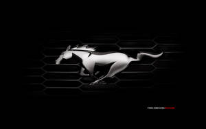 Mustang Hd Logo Black Car Grills Wallpaper