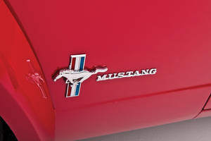 Mustang Hd Zoomed-in Logo Wallpaper