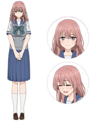 Anime school uniform top dress up