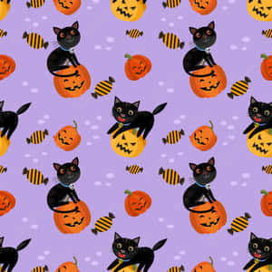 Mysterious Halloween Cat Lurking In The Shadows Wallpaper