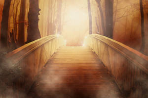 Mystical Footbridge In Enchanting Forest Wallpaper