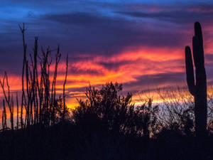 Mystical Sunset Over The Arizona Desert Wallpaper
