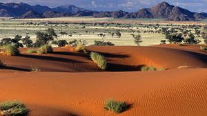 Namibia Famous Landscape Wallpaper