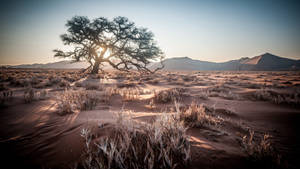 Namibia Nature Desert Wallpaper