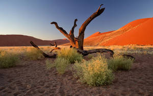 Namibia Nature Landscape Wallpaper