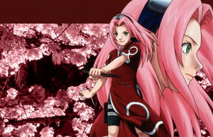 Naruto Anime Sakura Long Hair Wallpaper