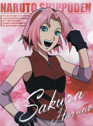 Naruto Shippuden Anime Sakura Cover Wallpaper