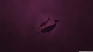 Narwhal Maroon Monochrome Wallpaper