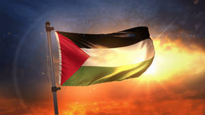 National Flag Of Palestine Wallpaper
