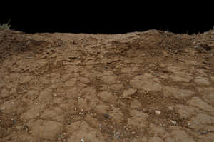 Natural Brown Crack Soil Wallpaper