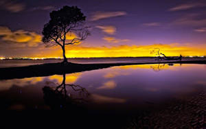 Natural Lake And Tree Sunset Purple Aesthetic Wallpaper