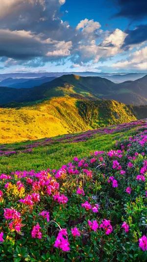 Natural Landscape Featuring A Magnificent Snowy Mountain Wallpaper