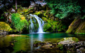 Nature Computer Flowing Stream Wallpaper