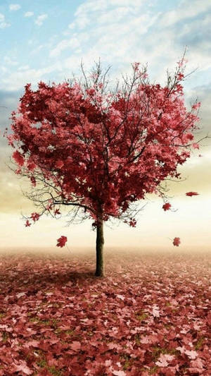 Nature Love Maple Tree Wallpaper