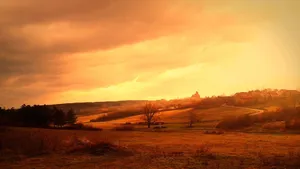 Nature Orange Sky Wallpaper