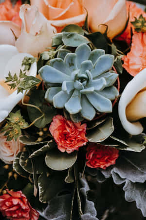 Nature's Touch: Aesthetic Plant Wallpaper For Your Phone Wallpaper