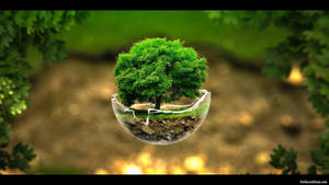 Nature Tree In Glass Orb Wallpaper