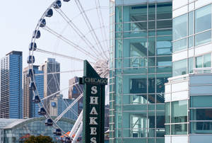 Navy Pier Centennial Wheel Blocked Wallpaper