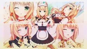 Nekopara Maple Showcase Wallpaper
