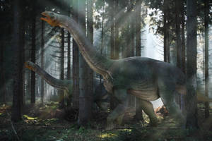 Nemegtosaurus Dinosaur In Forest Wallpaper