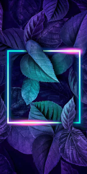 Neon Green And Purple Radiant Together Wallpaper