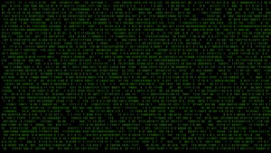 Neon Green Binary Matrix Wallpaper