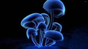 Neon Mushroom Aesthetic Wallpaper