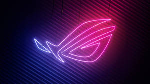 Neon Pink Asus Rog Wallpaper