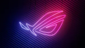 Neon Pink Asus Rog Wallpaper