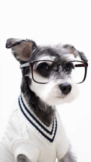 Nerd Dog Aesthetic Wallpaper