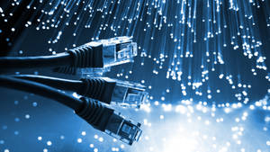 Network Cables Of An Information Technology System Wallpaper