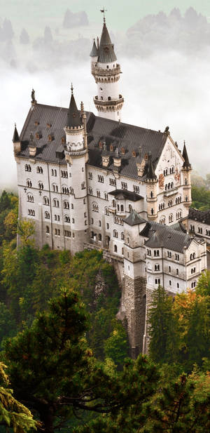 Neuschwanstein Castle Aerial View Fog Wallpaper