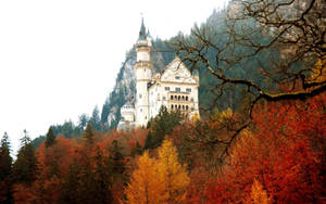 Neuschwanstein Castle Front Red Trees Wallpaper